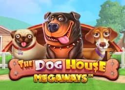 fieldguidetoprogrammers: The Dog House Megaways
